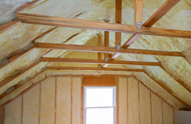 Professional Insulation Contractor in Belvedere, SC