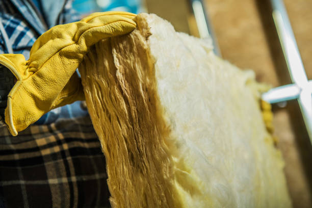Best Insulation Maintenance and Repair in Belvedere, SC