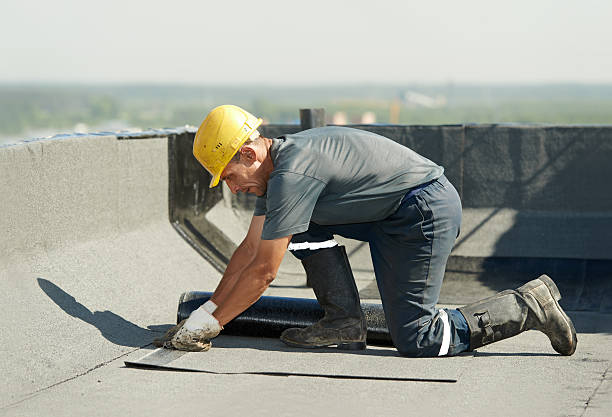 Best Eco-Friendly Insulation in Belvedere, SC